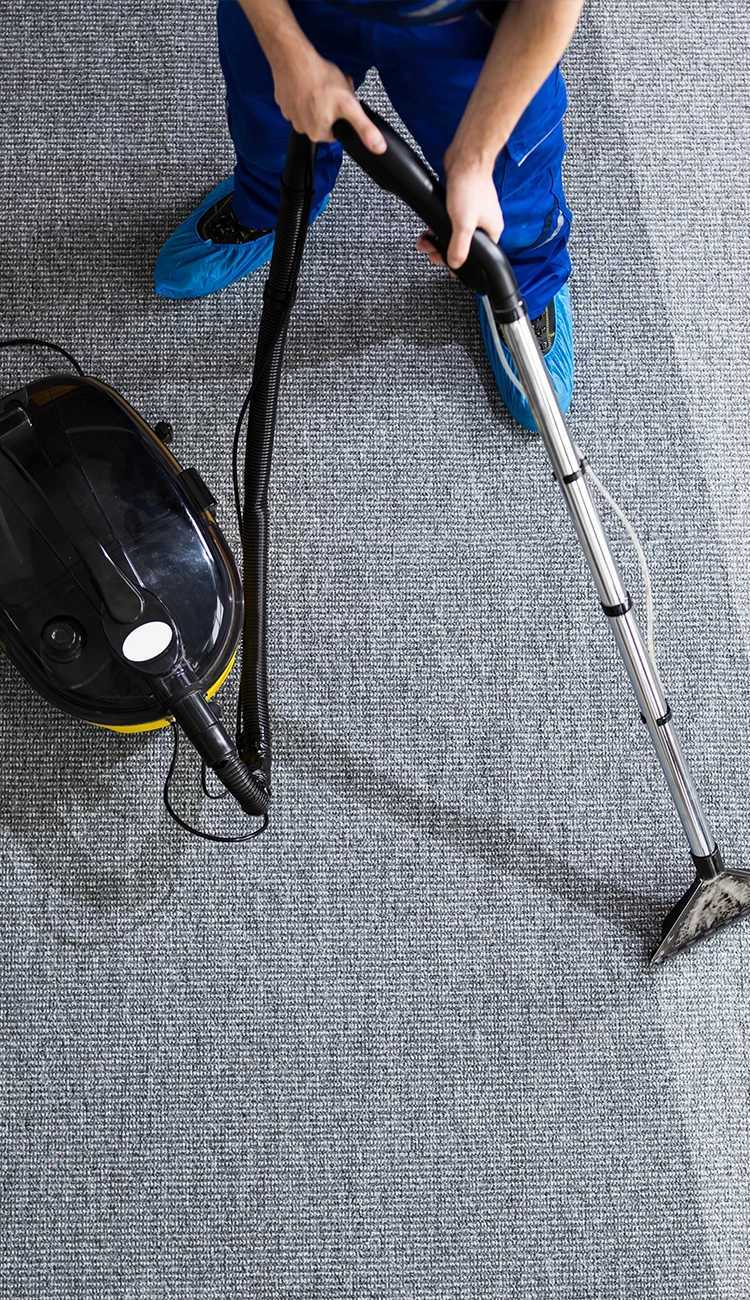 Carpet Cleaning